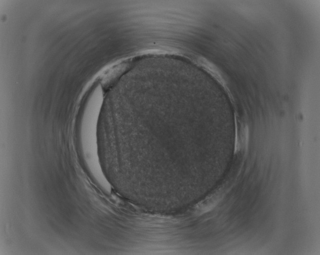 X0000084040387200703161837