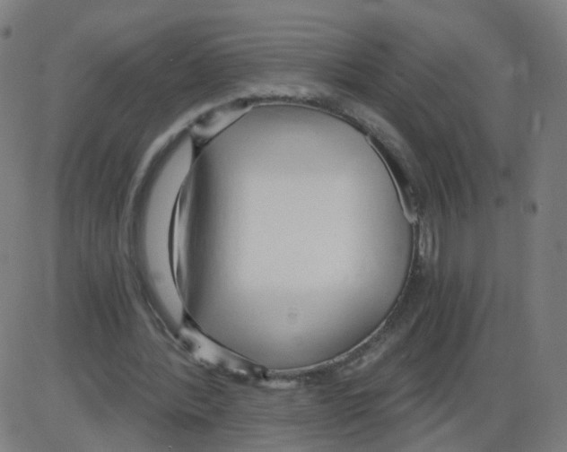 X0000084040388200703161837