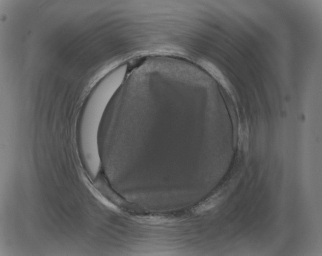 X0000084040389200703161837