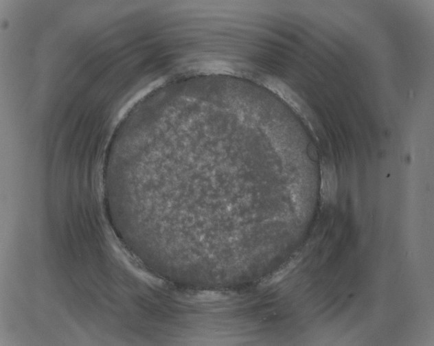 X0000084040390200703161837