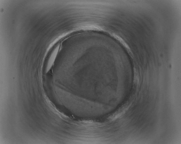 X0000084040391200703161837