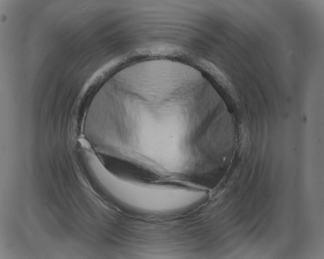 X0000084040392200703161837