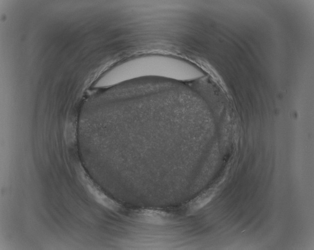 X0000084040393200703161837