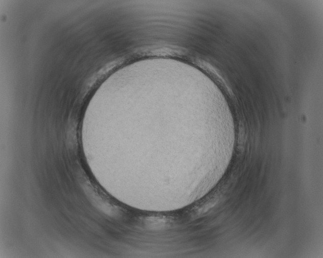 X0000084040394200703161836