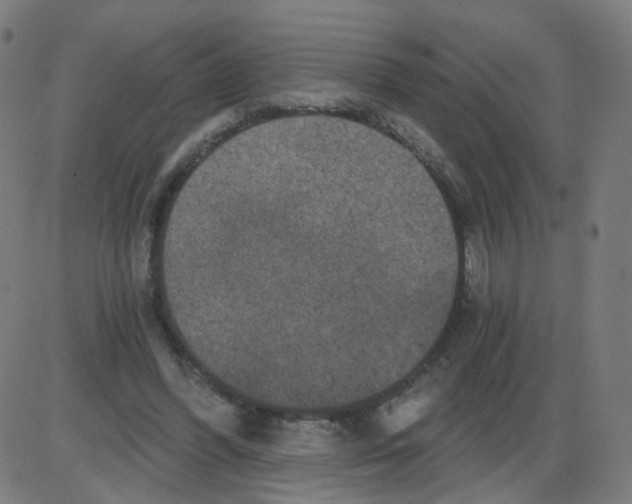 X0000084040396200703161836