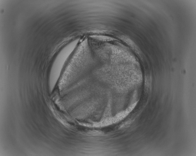 X0000084040397200703161836