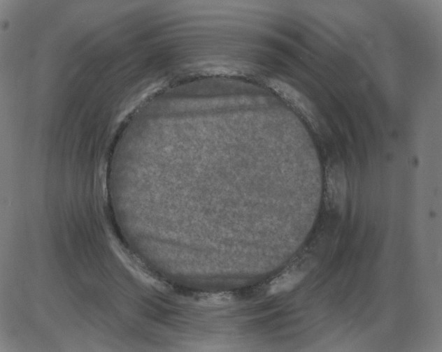 X0000084040398200703161836