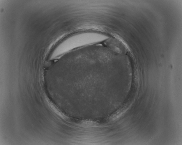 X0000084040399200703161836