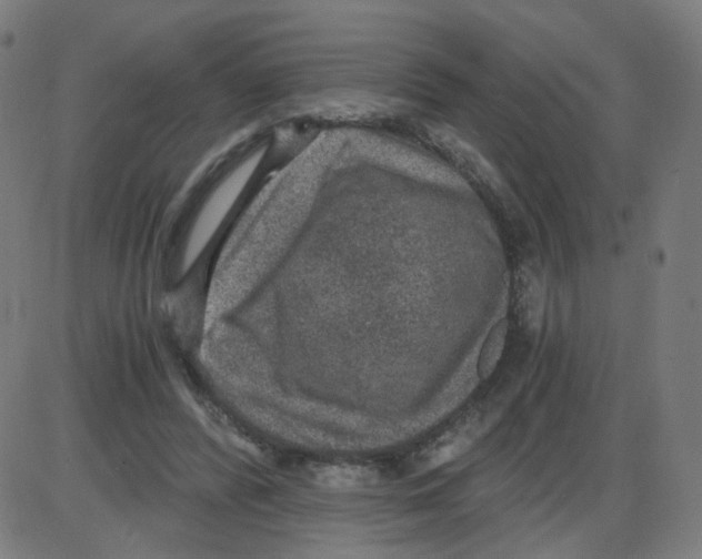 X0000084040400200703161836