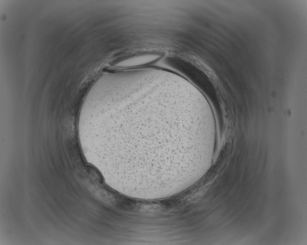 X0000084040401200703161836