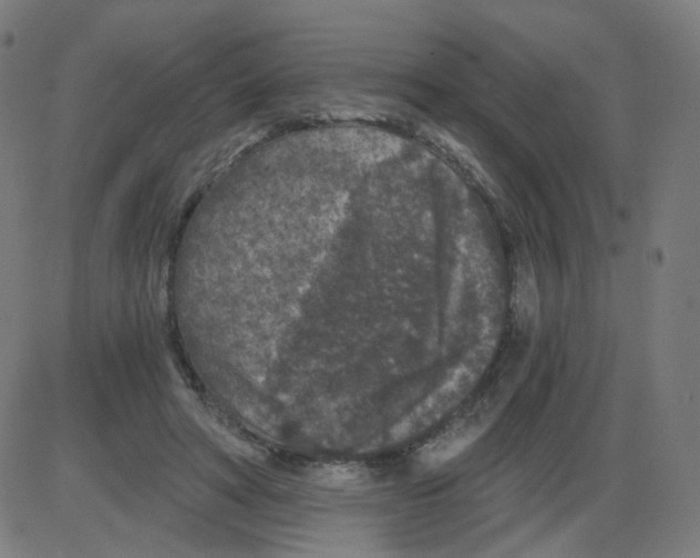 X0000084040402200703161836