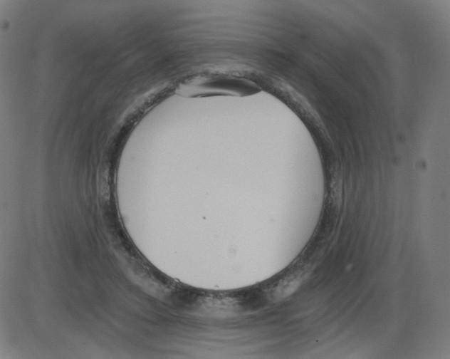 X0000084040403200703161836