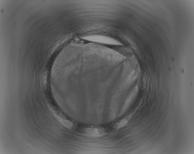 X0000084040404200703161836