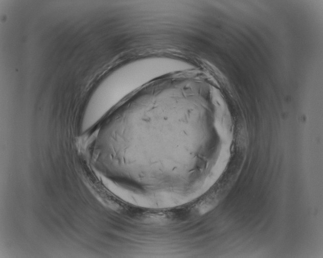 X0000084040405200703161836