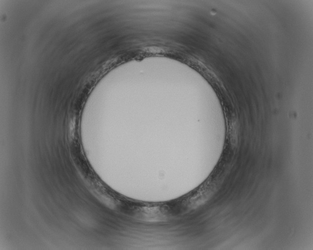 X0000084040406200703161836