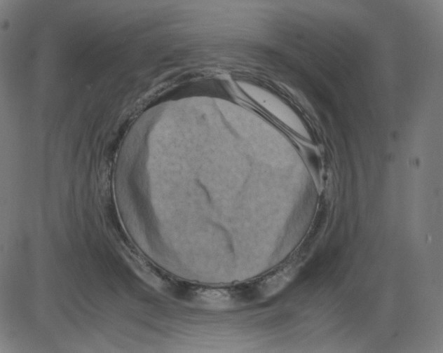 X0000084040409200703161836