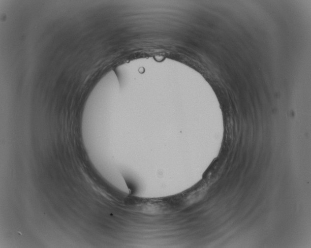 X0000084040412200703161836