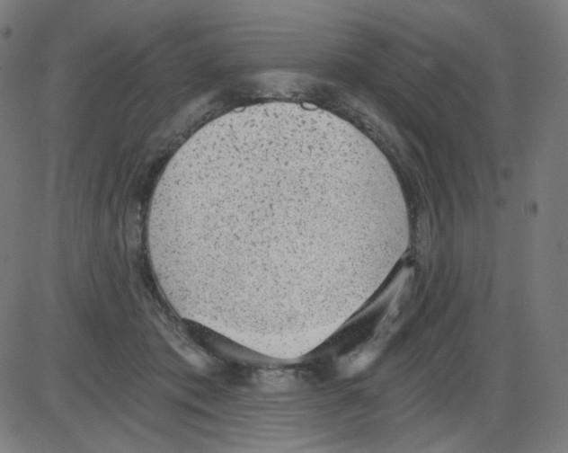 X0000084040413200703161836