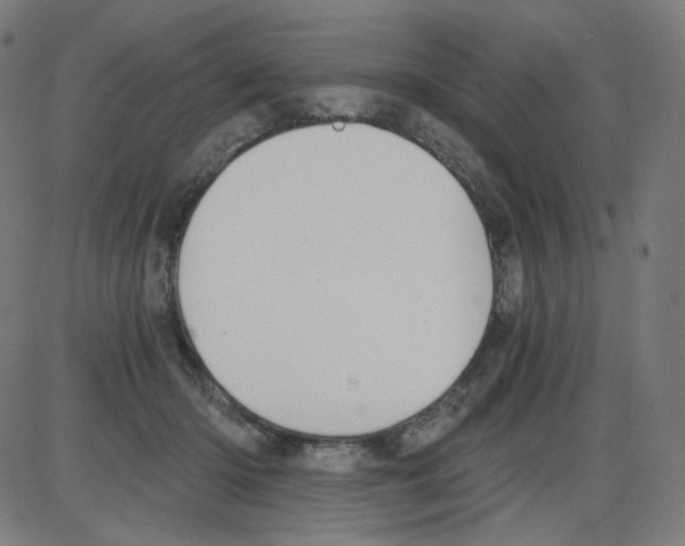 X0000084040414200703161836