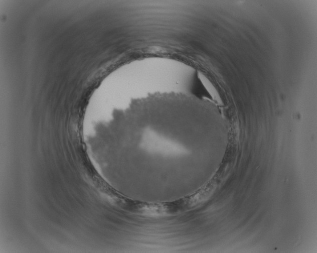 X0000084040415200703161836