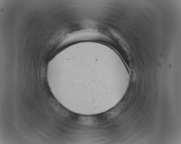 X0000084040417200703161836