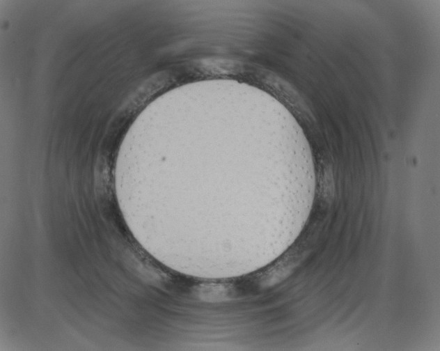 X0000084040418200703161836