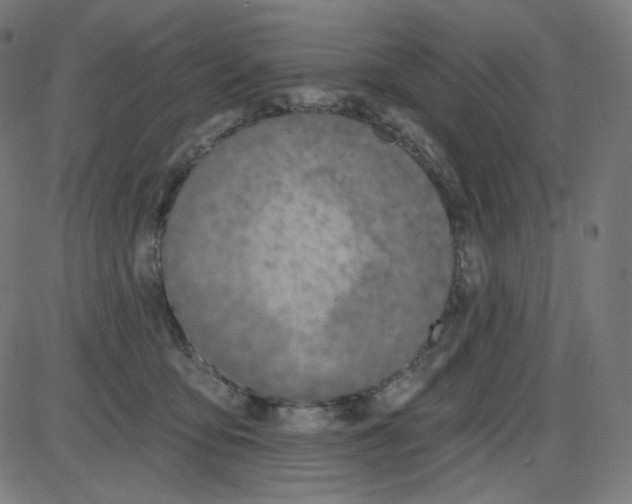 X0000084040419200703161836