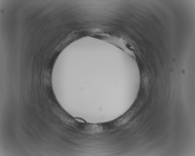 X0000084040421200703161836