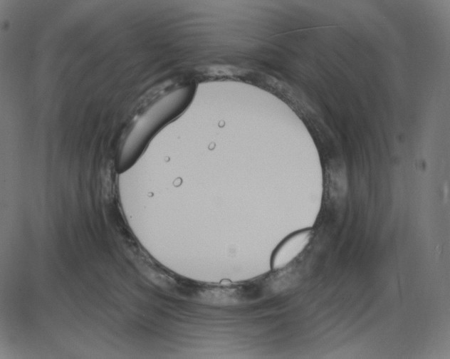 X0000084040422200703161836