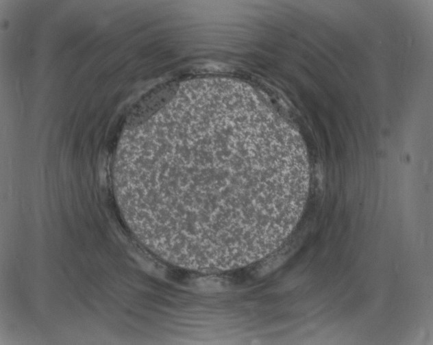 X0000084040423200703161836