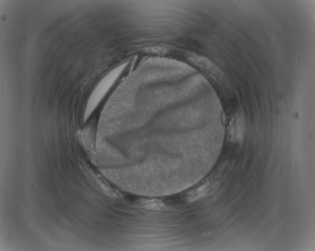 X0000084040424200703161836