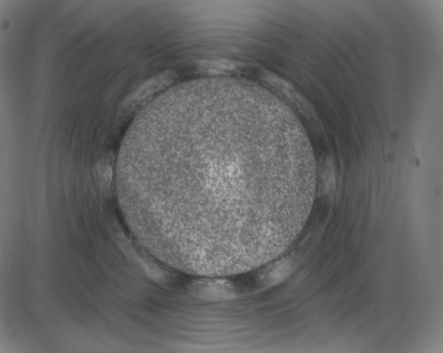 X0000084040427200703161836