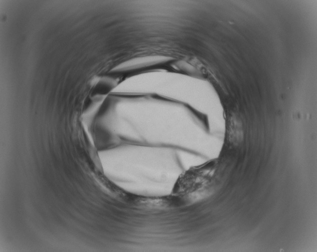 X0000084040428200703161836