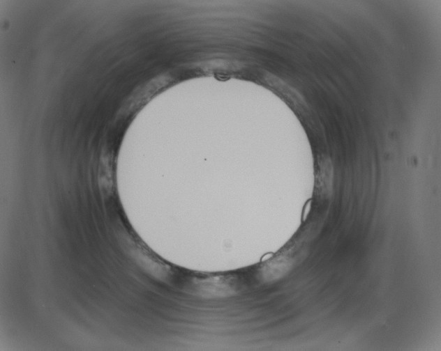 X0000084040430200703161836