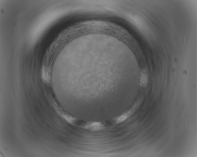 X0000084040431200703161836