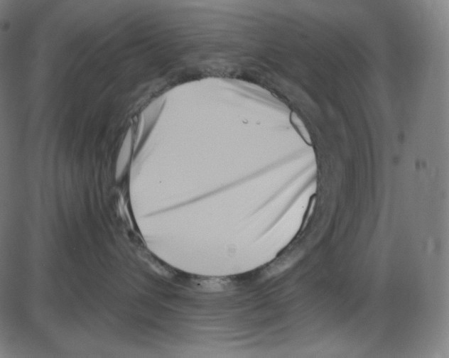 X0000084040432200703161836