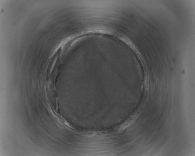 X0000084040434200703161835