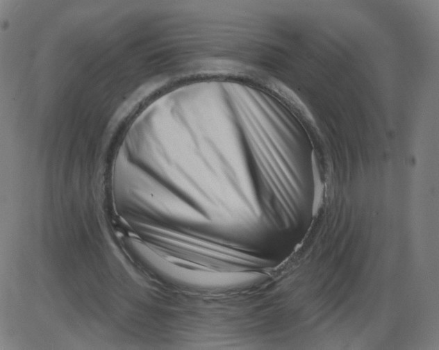 X0000084040436200703161835