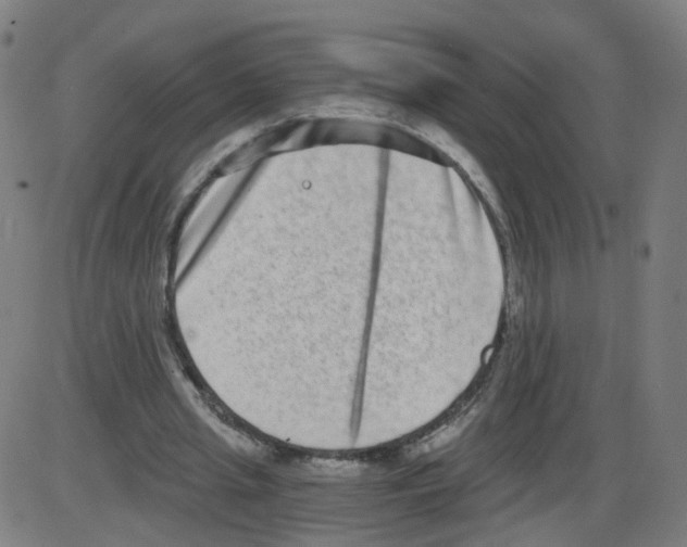 X0000084040437200703161835