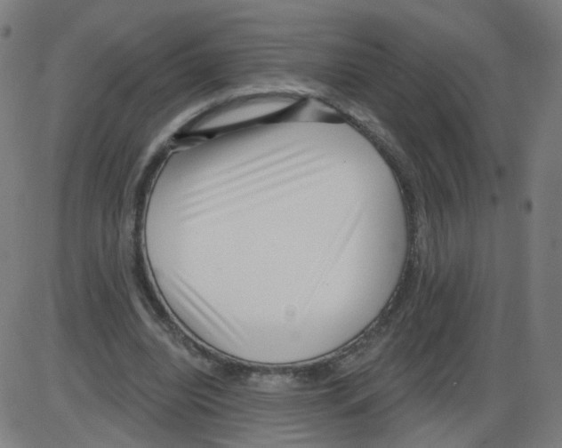 X0000084040440200703161835