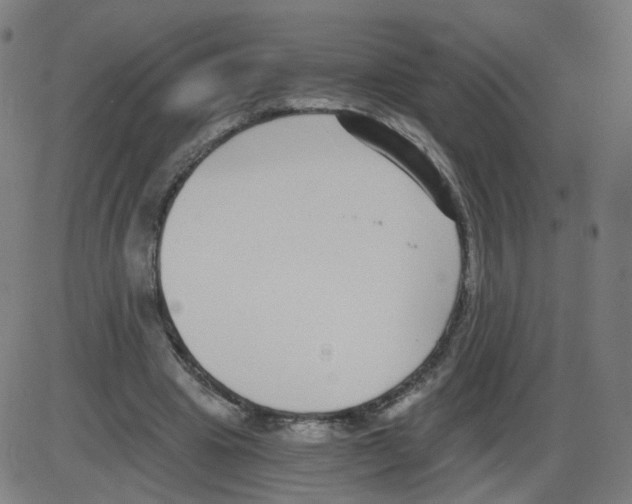 X0000084040441200703161835