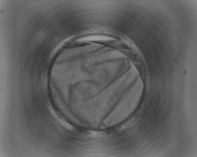 X0000084040442200703161835