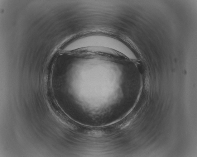 X0000084040444200703161835