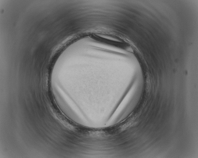 X0000084040446200703161835