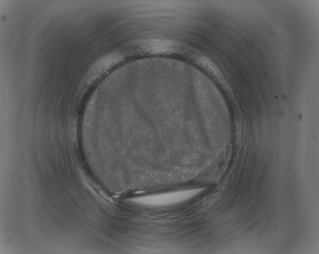 X0000084040447200703161835