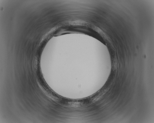 X0000084040448200703161835