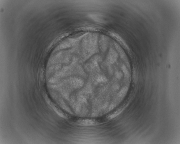 X0000084040449200703161835