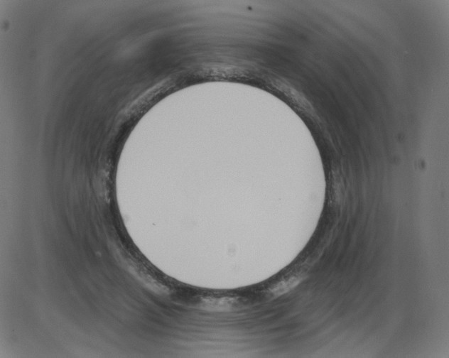 X0000084040450200703161835