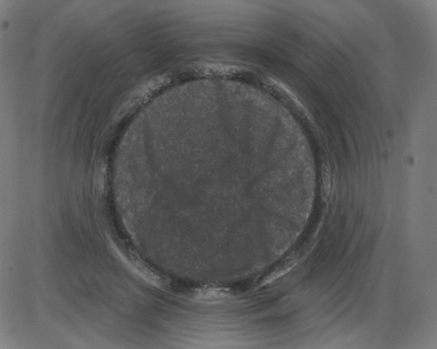 X0000084040451200703161835