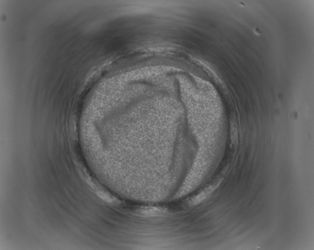 X0000084040453200703161835